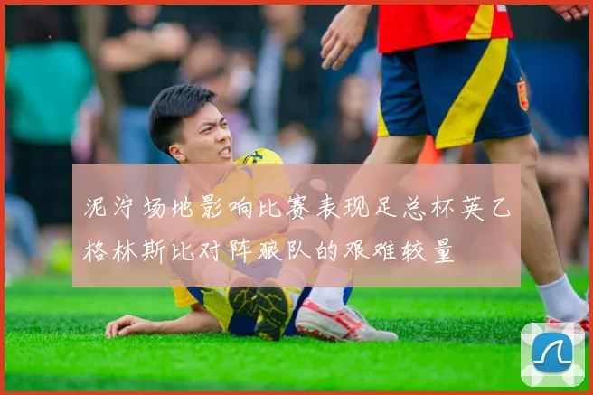 泥泞场地影响比赛表现足总杯英乙格林斯比对阵狼队的艰难较量