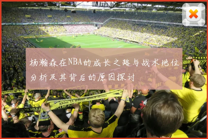 杨瀚森在NBA的成长之路与战术地位分析及其背后的原因探讨